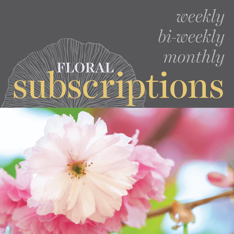 Floral Subscriptions