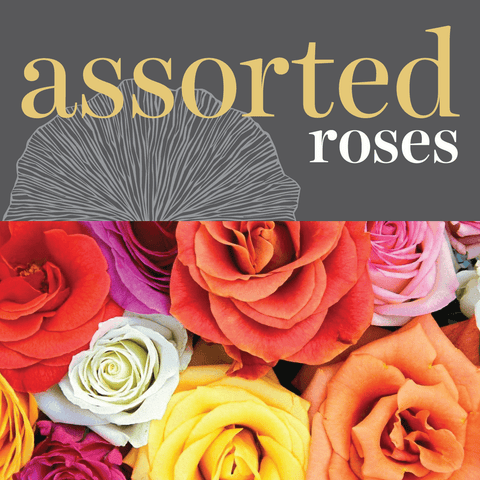 Roses - Assorted Colours