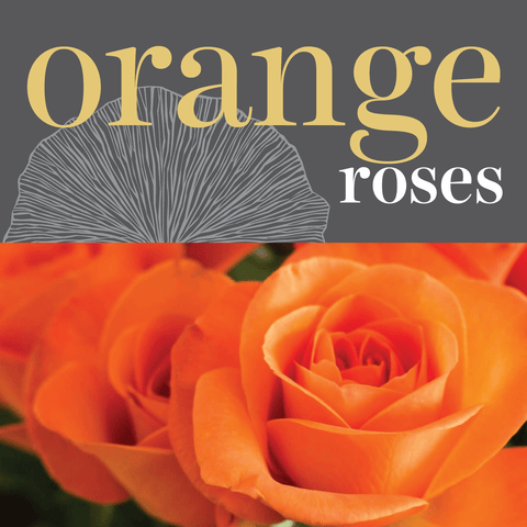 Roses - Orange