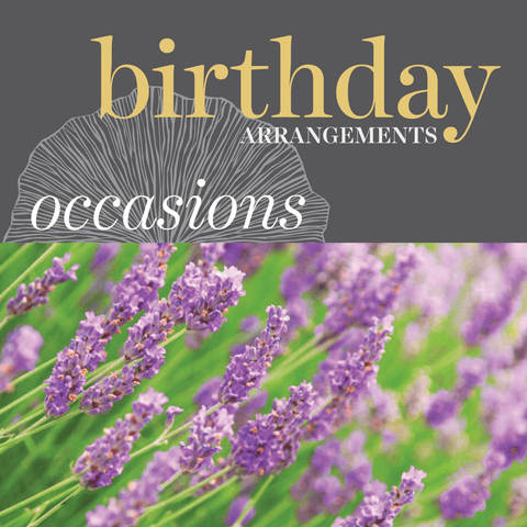 Occasions - Birthday