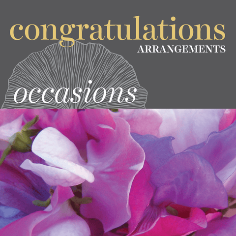 Occasions - Congratulations
