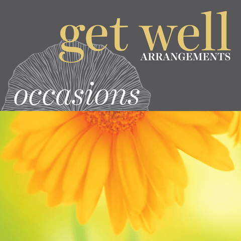 Occasions - Get Well