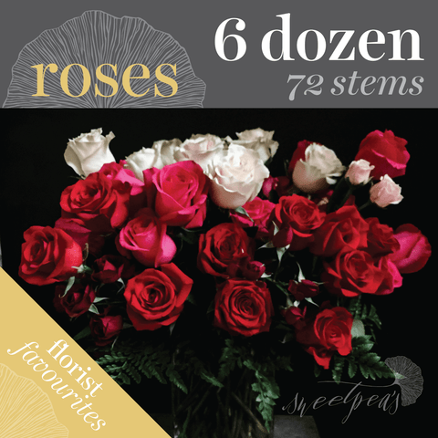 'High Roller' Roses - 6 Dozen (72 stems)