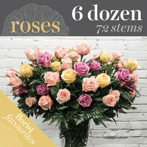 'Baller' Roses - 6 Dozen (72 stems)